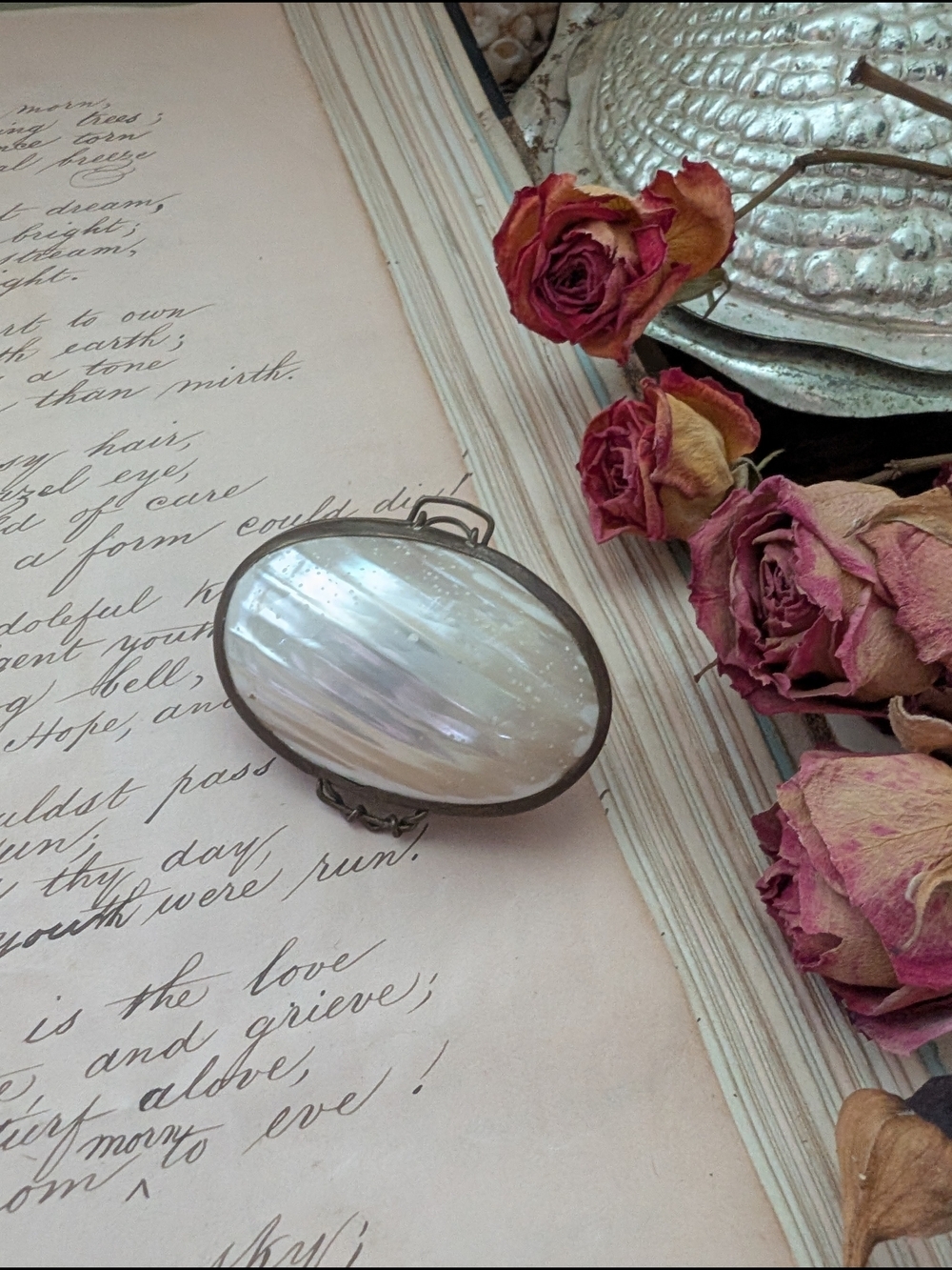 Antique Victorian Mother of Pearl Oval Pill Box